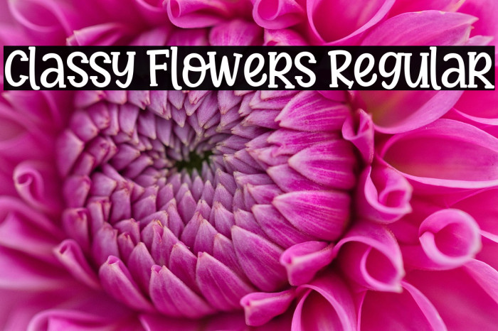 Classy Flowers Regular Example 2