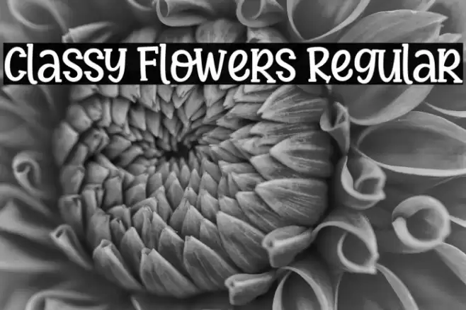 Classy Flowers Regular Fuentes examples
