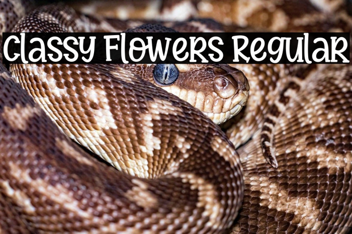 Classy Flowers Regular Example 3