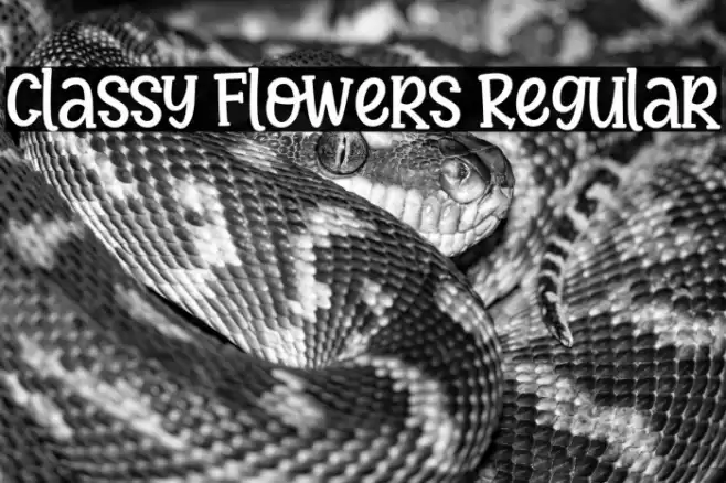 Classy Flowers Regular Fuentes examples