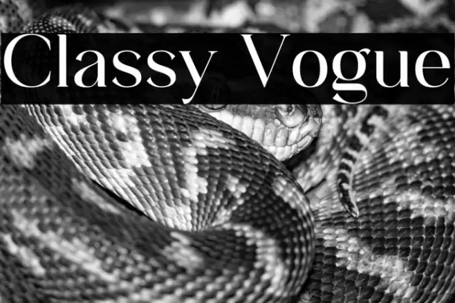 Classy Vogue Font examples