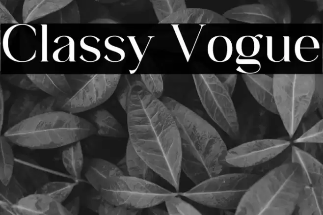 Classy Vogue Font examples
