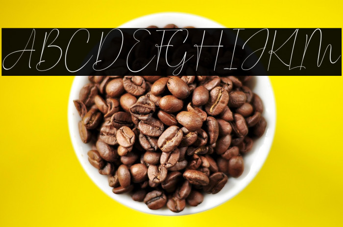 Claster Oleander Signature Example 3