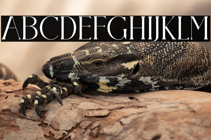 Claster Oleander Example 1