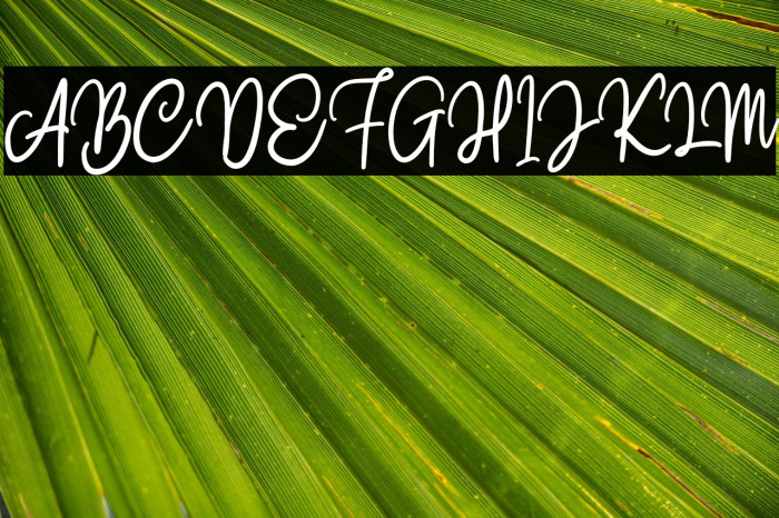 Claston Script Regular Example 2