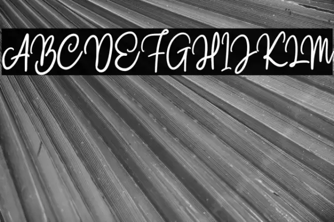 Claston Script Regular Font examples