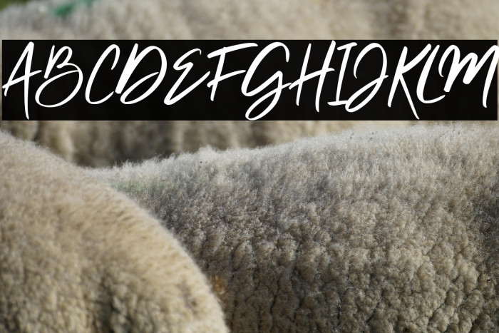 Clattering Example 1