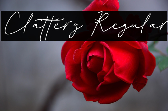 Clattery Regular Schriftart examples