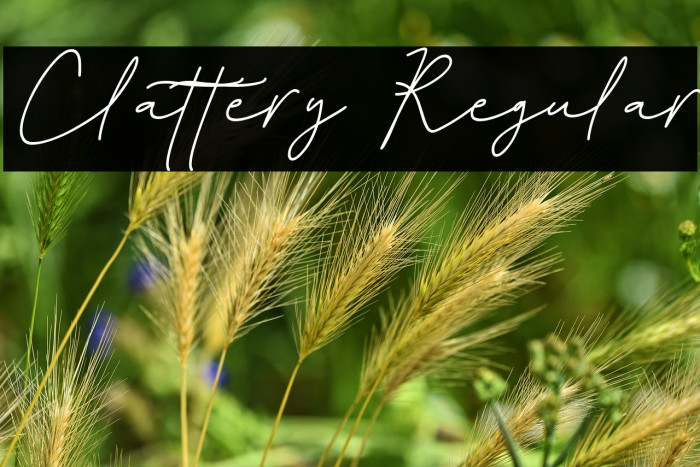 Clattery Regular Schriftart examples