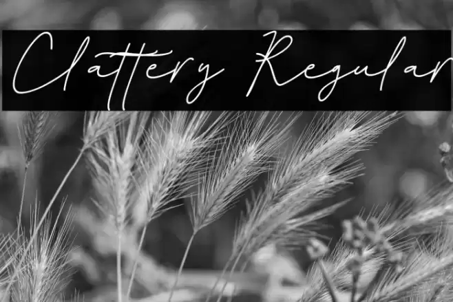 Clattery Regular Font examples