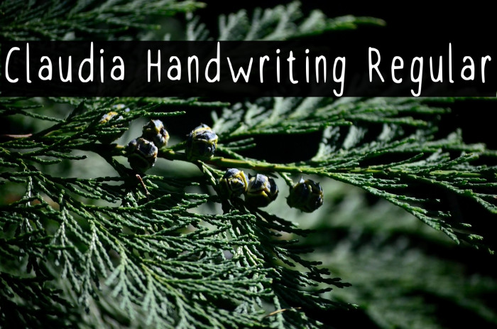 Claudia Handwriting Regular Example 3