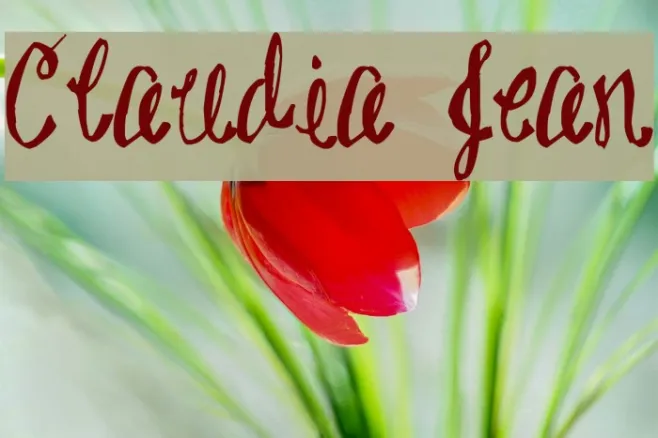 Claudia Jean Example 1