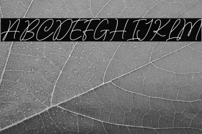 Claudiana Font examples