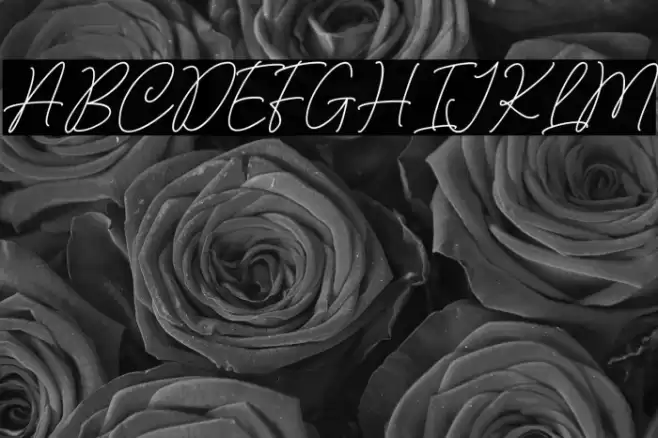 Claudiana Font examples