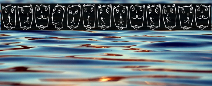 Claudio the Cat Regular Example 3