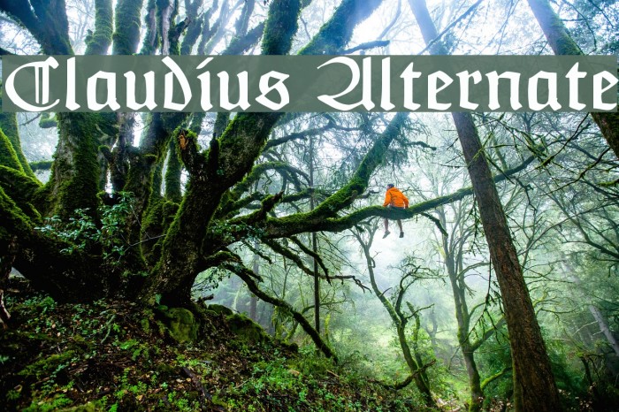 Claudius Alternate Font examples