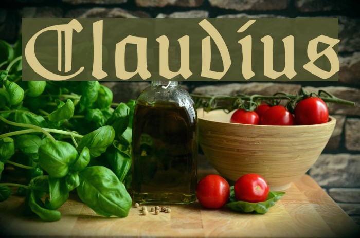 Claudius Font examples