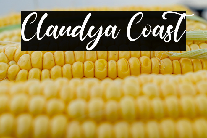 Claudya Coast Example 1