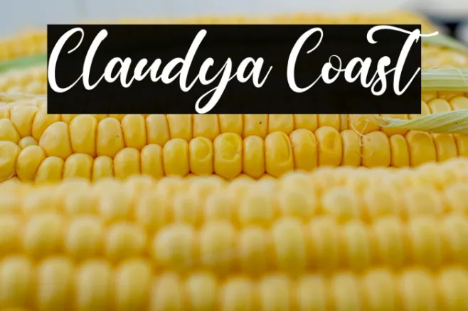 Claudya Coast Example 1