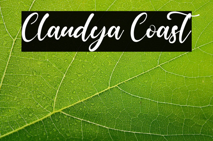 Claudya Coast Example 2