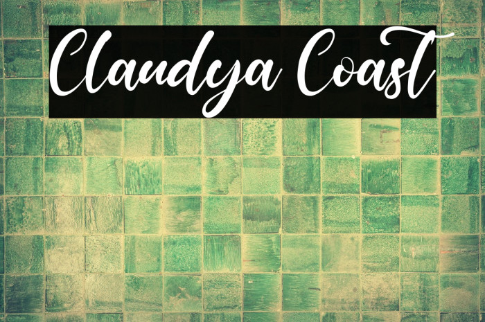Claudya Coast Example 3