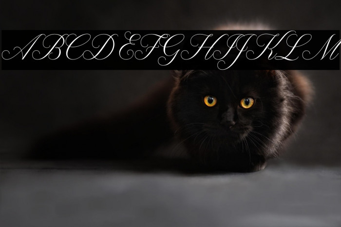 Claudya Script Demo Example 1