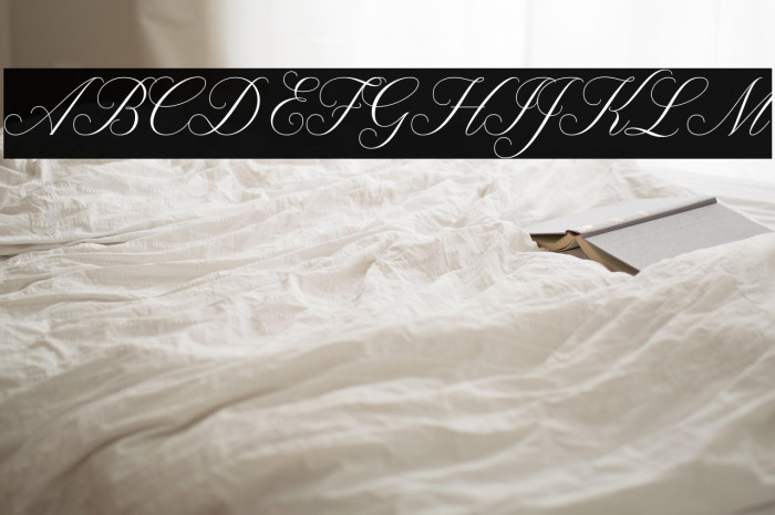 Claudya Script Demo Example 3