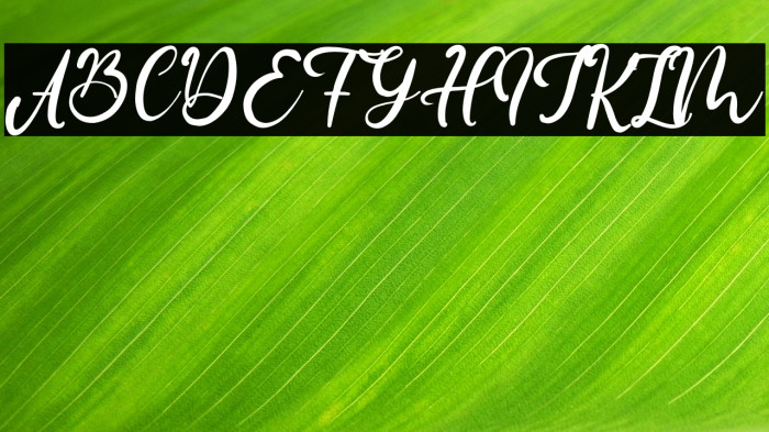 ClaudyaCoast Example 3