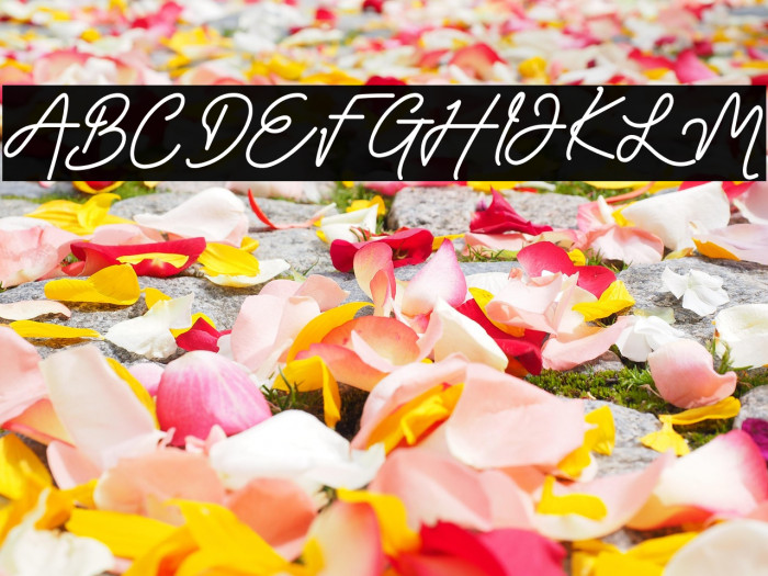 Claudya_DEMO Example 2