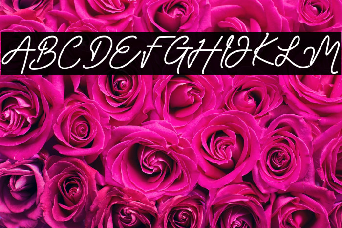 Claudya_DEMO Example 3