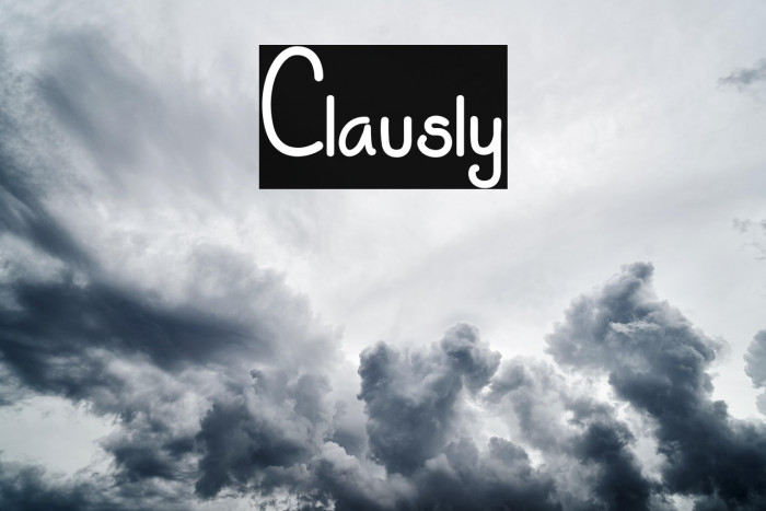 Clausly Example 2