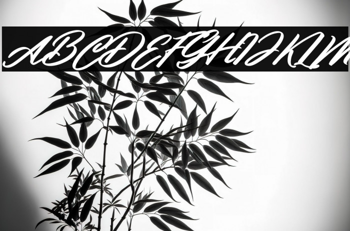 Clauster Italic Example 1