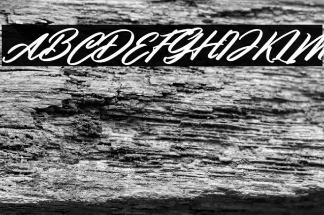 Clauster Italic خط examples