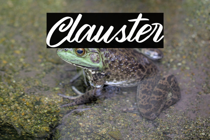 Clauster Example 1