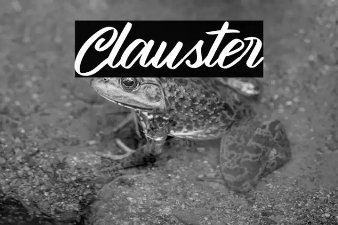 Clauster خط examples