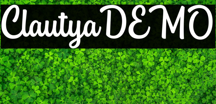 ClautyaDEMO Example 1