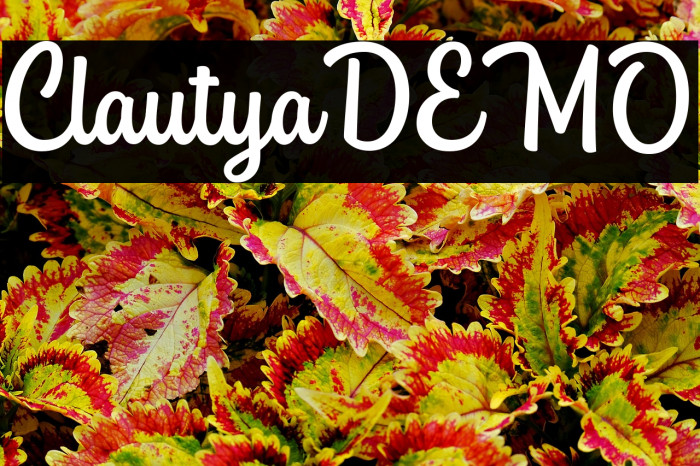 ClautyaDEMO Example 3
