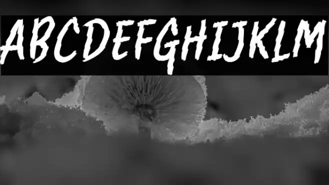 Clawster Font examples