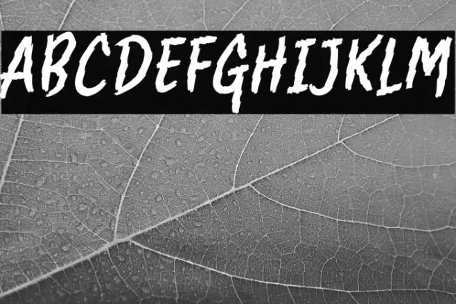 Clawster Font examples