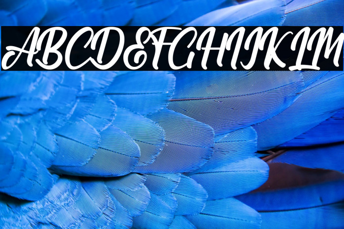 Claymale Personal Use Only Example 2