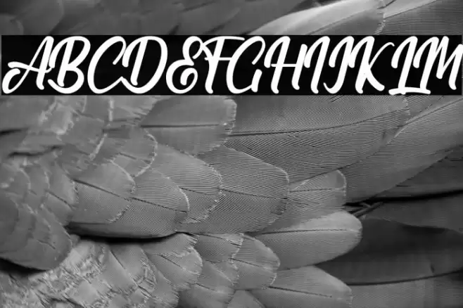 Claymale Personal Use Only Font examples