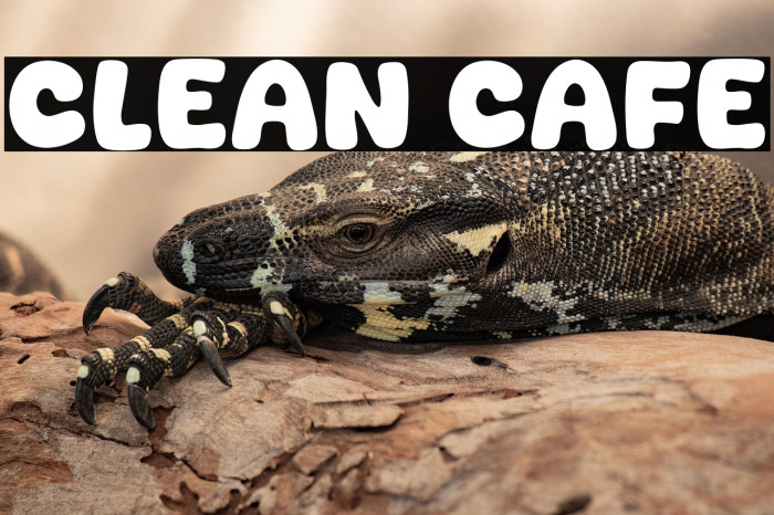 Clean Cafe Example 2