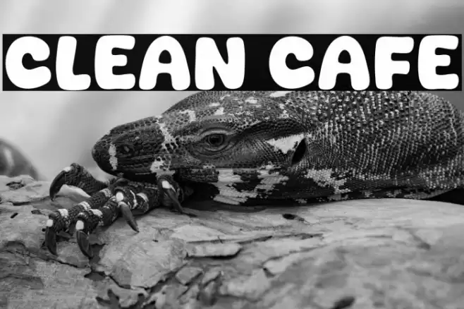 Clean Cafe Fuentes examples