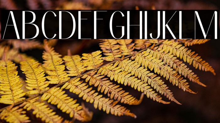 Clean Fragile Personal Use Example 1