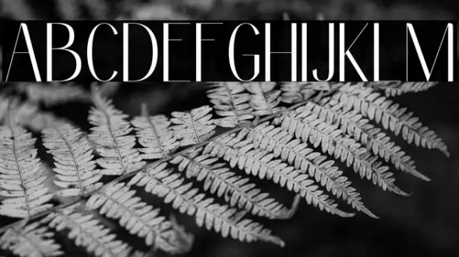 Clean Fragile Personal Use Font examples