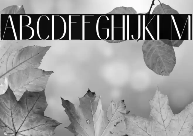 Clean Fragile Personal Use Font examples