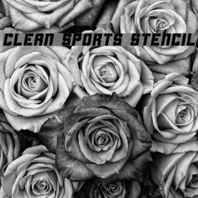 Clean Sports Stencil Font examples