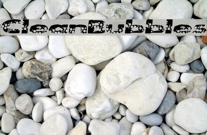 CleanBubbles Polices examples
