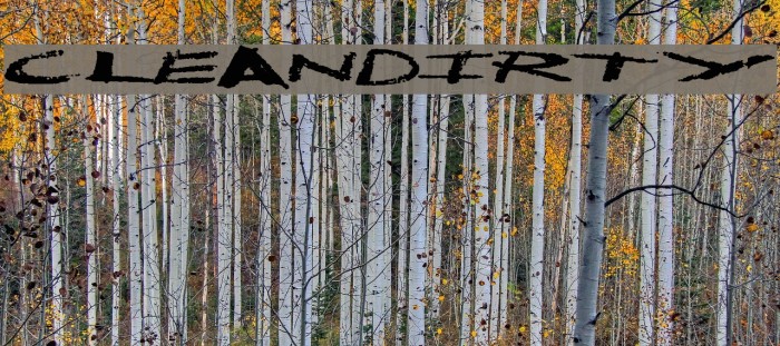 CleanDirty Example 3