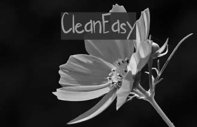 CleanEasy Font examples